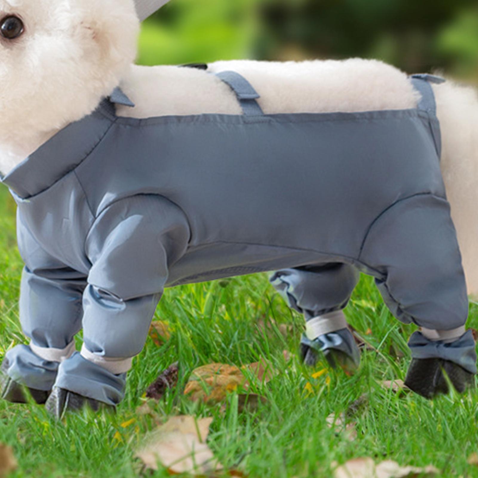 Botas impermeables para perros - Women'S Shoes Hush Puppies reseña y precio