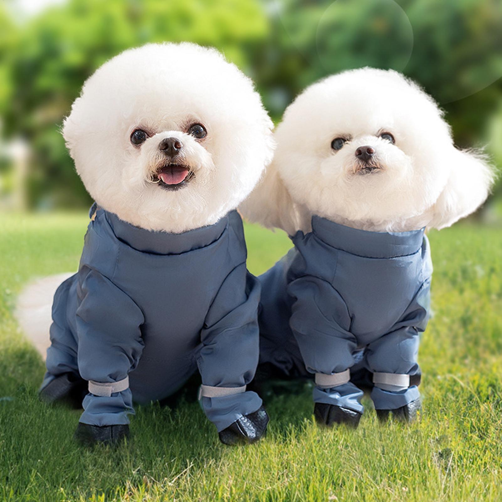 Botas impermeables para perros - Women'S Shoes Hush Puppies reseña y precio