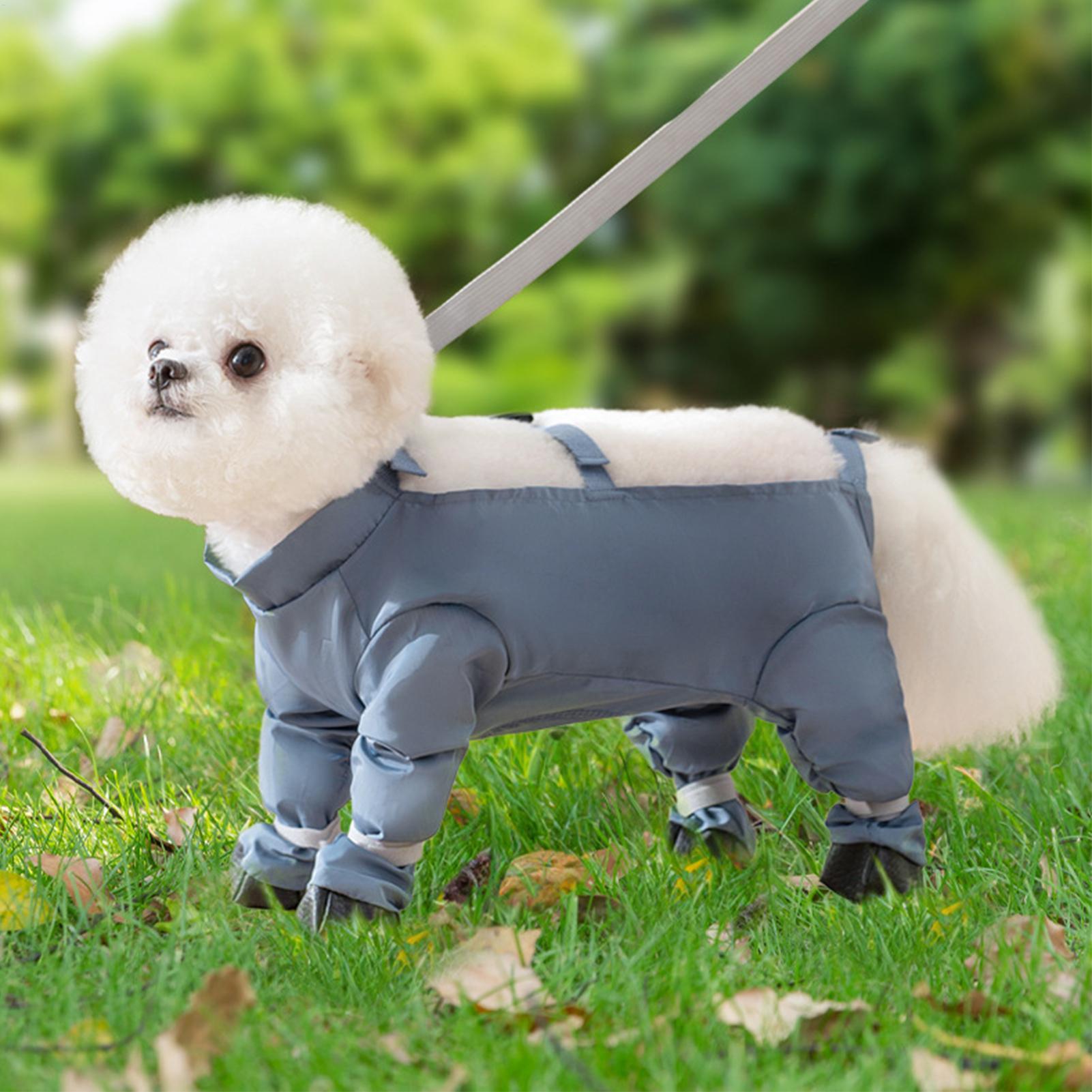 Botas impermeables para perros - Women'S Shoes Hush Puppies reseña y precio